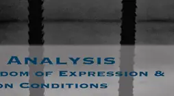 2017 Analysis: Freedom of Expression & Prison Conditions