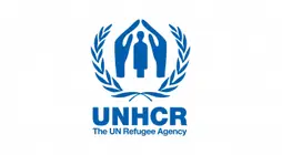 Briefing on Myanmar at the United Nations Security Council