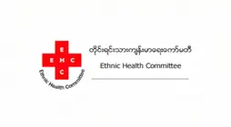 Growing Public Health Emergency in Burma’s Ethnic Areas