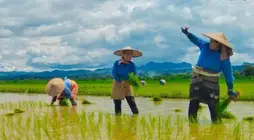 Floods, Extortion, and Labor Shortages Force Farmers to Abandon Fields in Southern Shan State