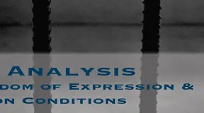 2017 Analysis: Freedom of Expression & Prison Conditions