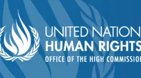UN Expert Urges Independent Assessment of Bhasan Char and Verification of Voluntary Relocation
