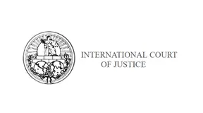 The Court decides that the declarations of intervention filed by seven States are admissible
