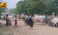 တိုက်ပွဲများထက် စစ်အုပ်စုက အကြမ်းဖက်မှုများ နေ့စဉ်နေ့တိုင်း ကျူးလွန်နေ၍ လူသားစာနာ အကျပ်အတည်း ပိုမိုဆိုးရွားလာဟုဆို