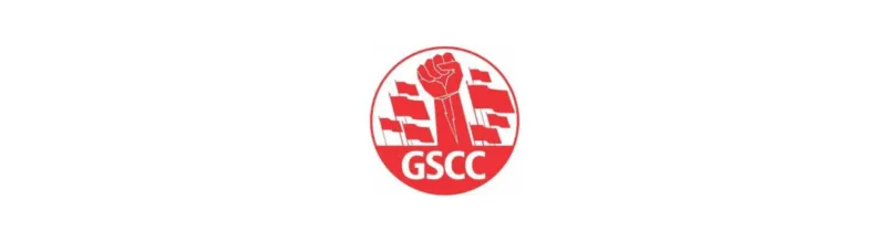 Announcement that Spring Revolution is built on Principles not a Person