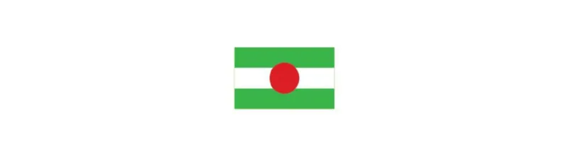 Statement on the 60th anniversary of Ta’ang National Revolution Day
