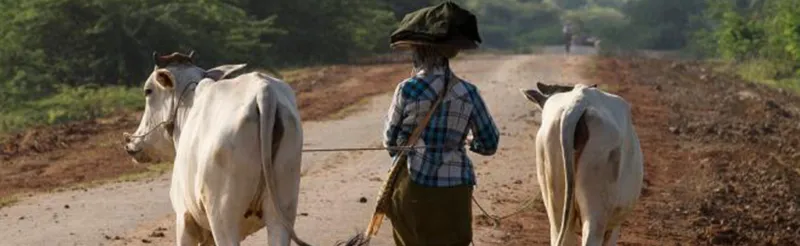 The right to land at crossroads in Myanmar
