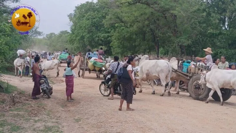 တိုက်ပွဲများထက် စစ်အုပ်စုက အကြမ်းဖက်မှုများ နေ့စဉ်နေ့တိုင်း ကျူးလွန်နေ၍ လူသားစာနာ အကျပ်အတည်း ပိုမိုဆိုးရွားလာဟုဆို
