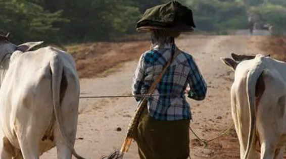 The right to land at crossroads in Myanmar