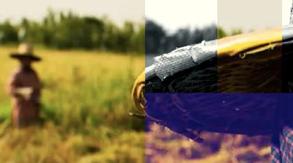 The Pending EU – Myanmar Investment Protection  Agreement: Risks & Opportunities