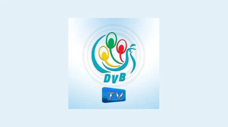 မြန်မာနိုင်ငံဆိုင်ရာ ဂျပန်အထူးသံတမန် ဆာဆာကာဝါ တာဝန်ယူ၊ တာဝန်ခံမှု ကင်းမဲ့နေ