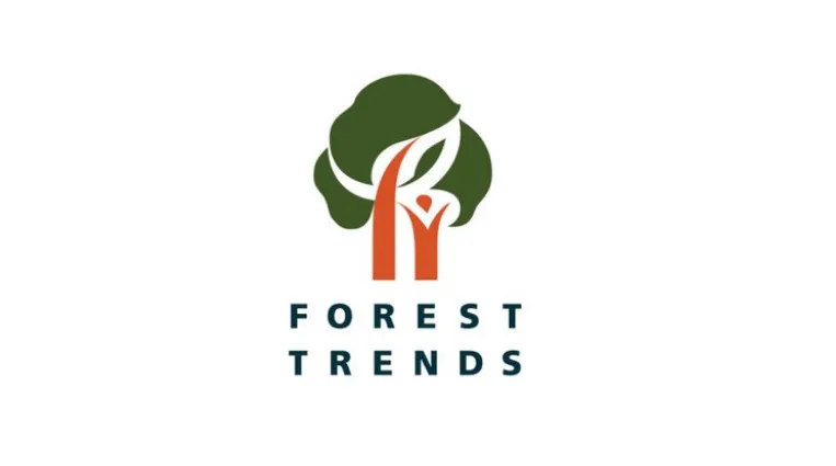 Myanmar’s Timber Trade One Year Since the Coup: The Impact of International Sanctions