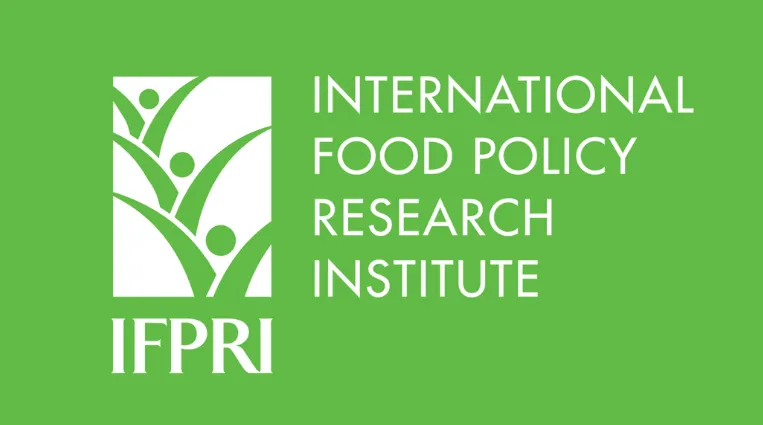 Agricultural value chains in a fragile state – The case of rice in Myanmar