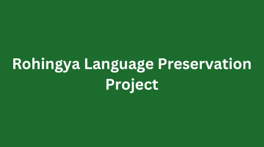 First They Targeted Our Culture and Language: Threats to Rohingya Language, Culture, and Identity in Myanmar and Bangladesh