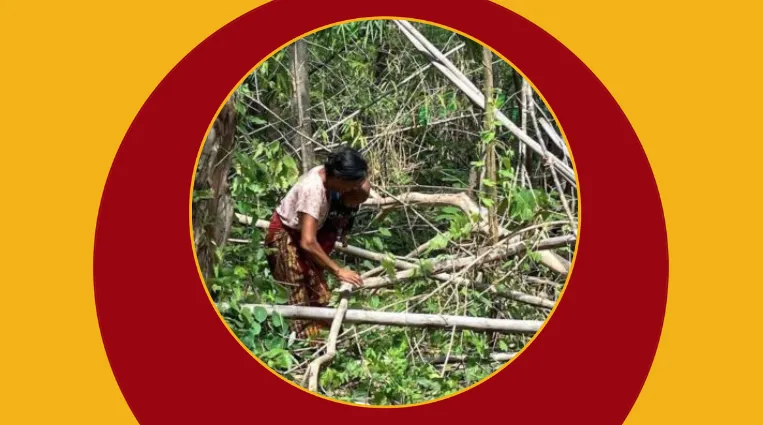 စစ်ပွဲနဲ့ ဝေးရာဆီ နေရပ်စွန့်ခွာလာတဲ့ ရွာသစ်ဒေသခံများ